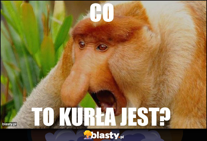 Co
