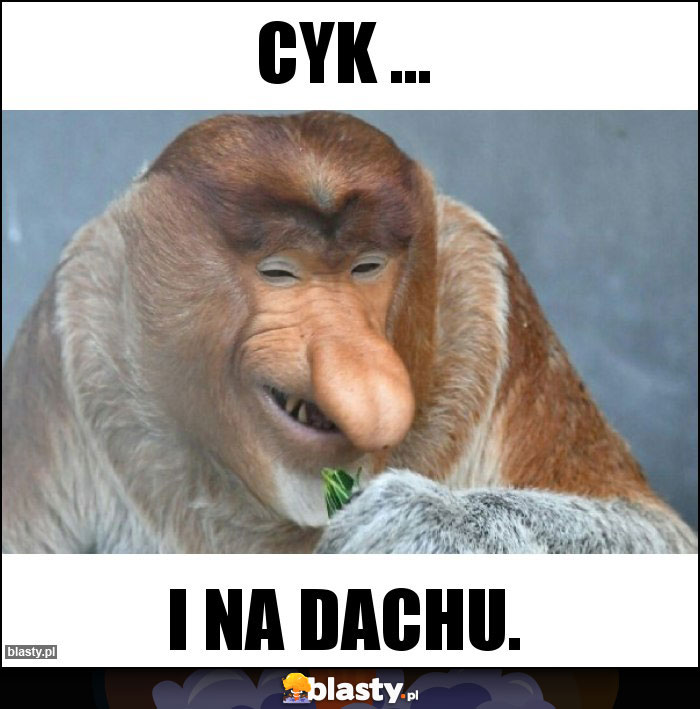 Cyk ...