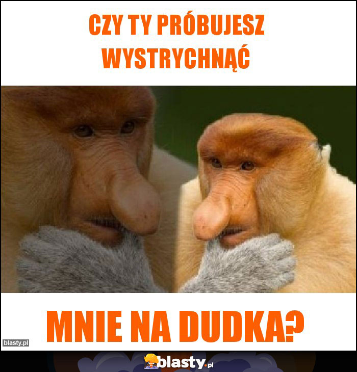 czy Ty próbujesz wystrychnąć czy Ty próbujesz wystrychnąć