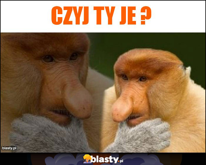 Czyj ty je ? Czyj ty je ?