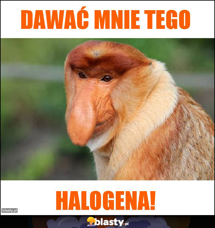 Dawać mnie tego Dawać mnie tego
