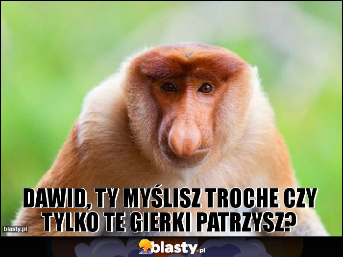 Dawid, Ty myślisz troche czy tylko te gierki patrzysz? Dawid, Ty myślisz troche czy tylko te gierki patrzysz?