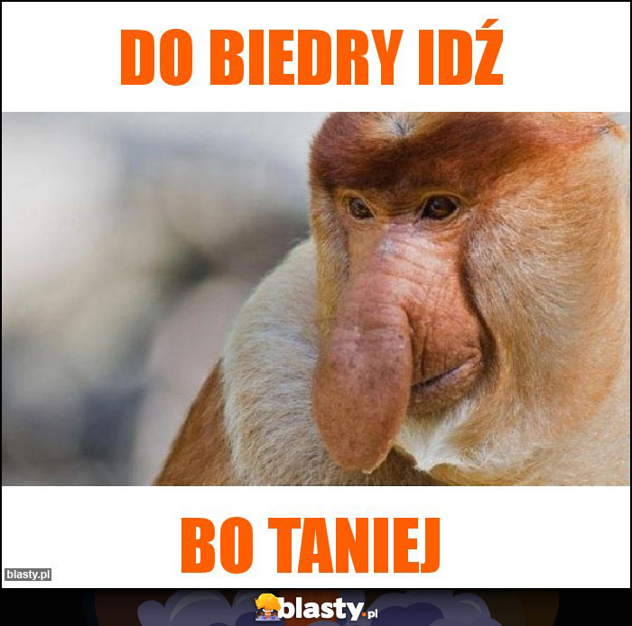 DO BIEDRY IDŹ DO BIEDRY IDŹ