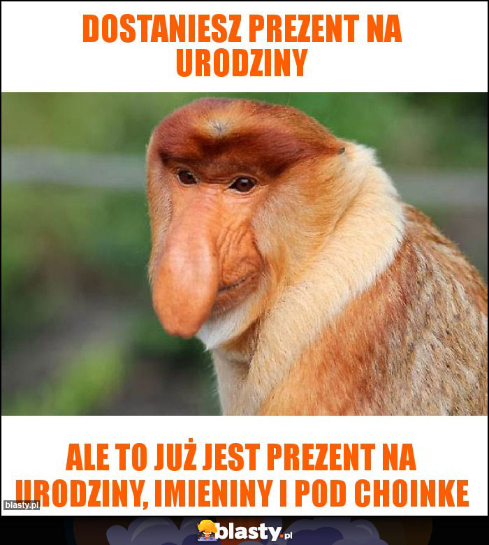 DOSTANIESZ PREZENT NA URODZINY DOSTANIESZ PREZENT NA URODZINY