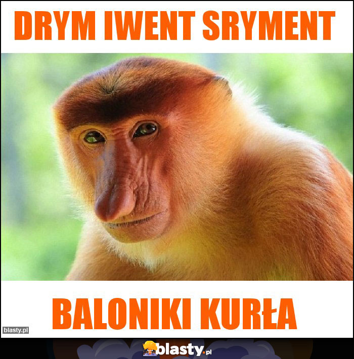 Drym iwent sryment Drym iwent sryment