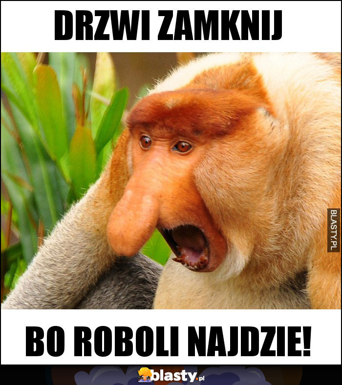 Drzwi zamknij Drzwi zamknij