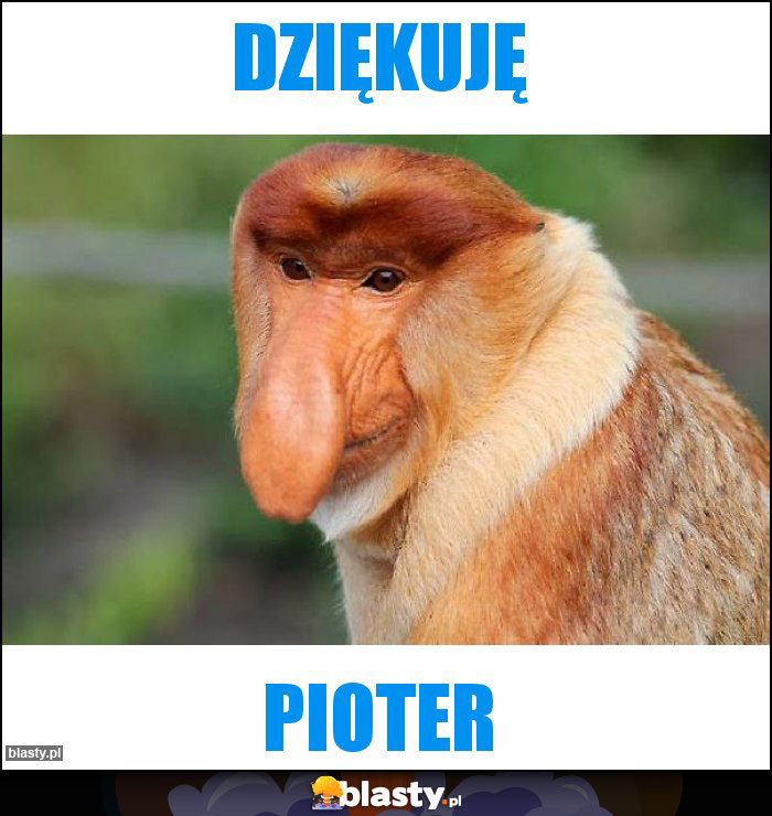 Dziękuję