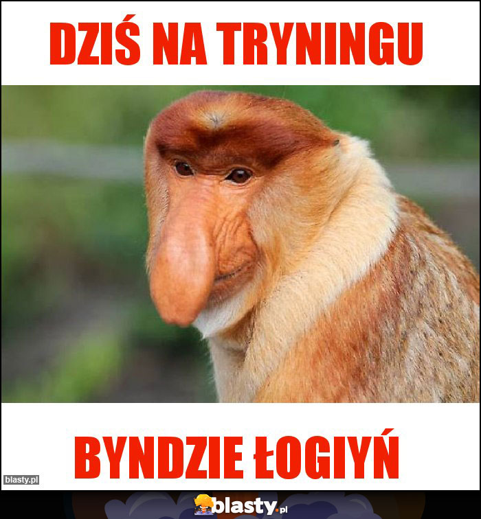 Dziś na tryningu Dziś na tryningu