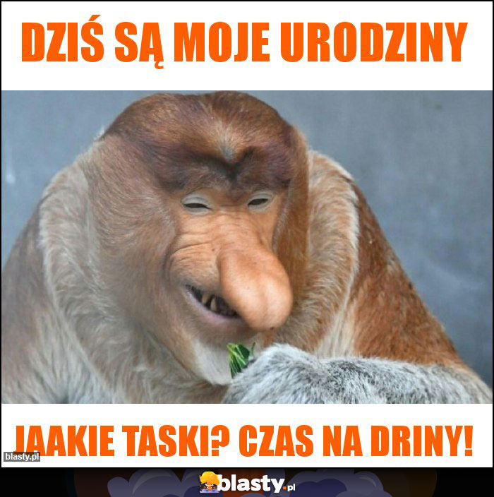 Dziś są moje urodziny Dziś są moje urodziny