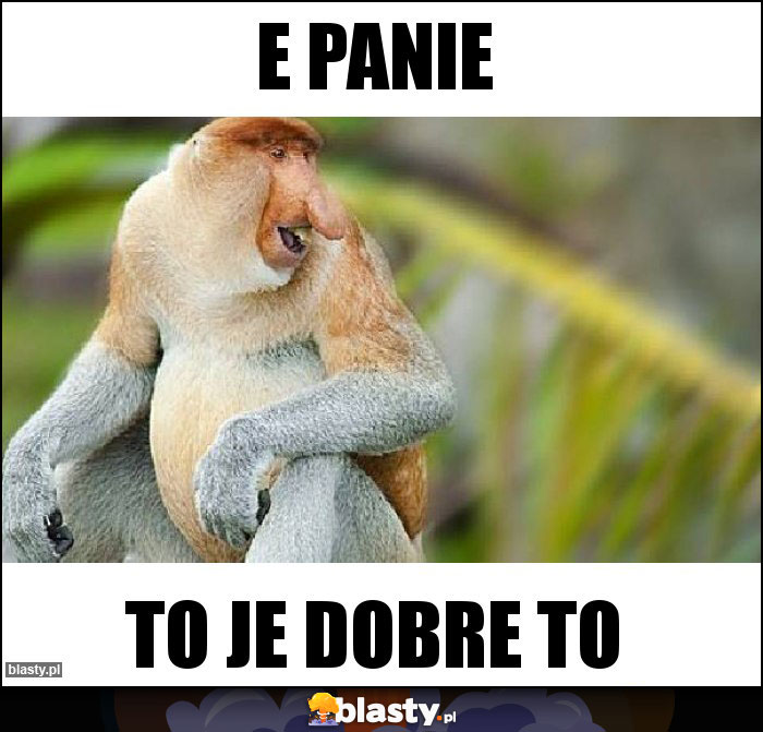 E panie