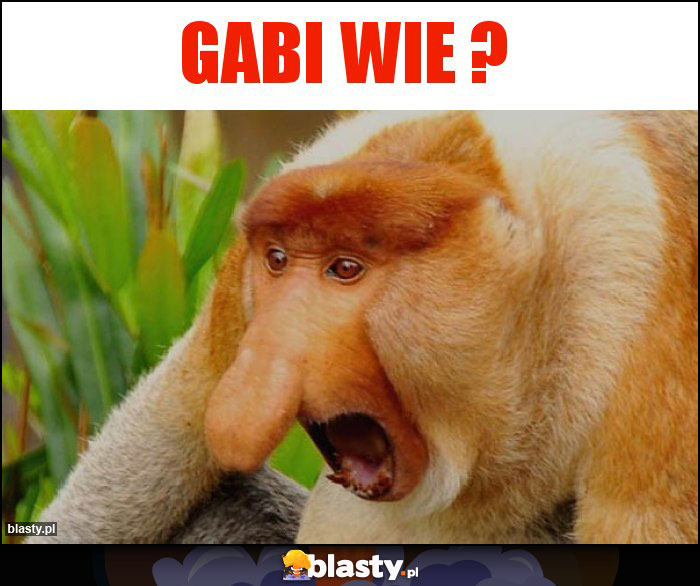 Gabi wie ? Gabi wie ?