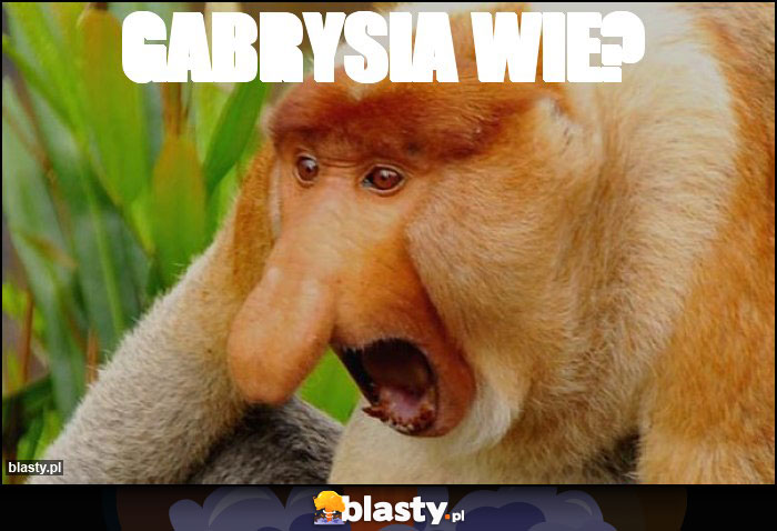 Gabrysia wie? Gabrysia wie?