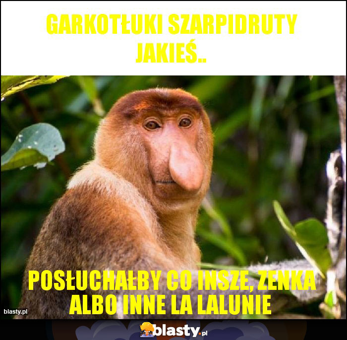 Garkotłuki szarpidruty jakieś..