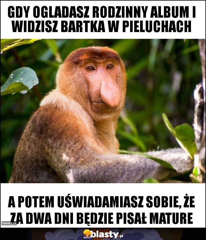 Gdy ogladasz rodzinny album i widzisz Bartka w pieluchach