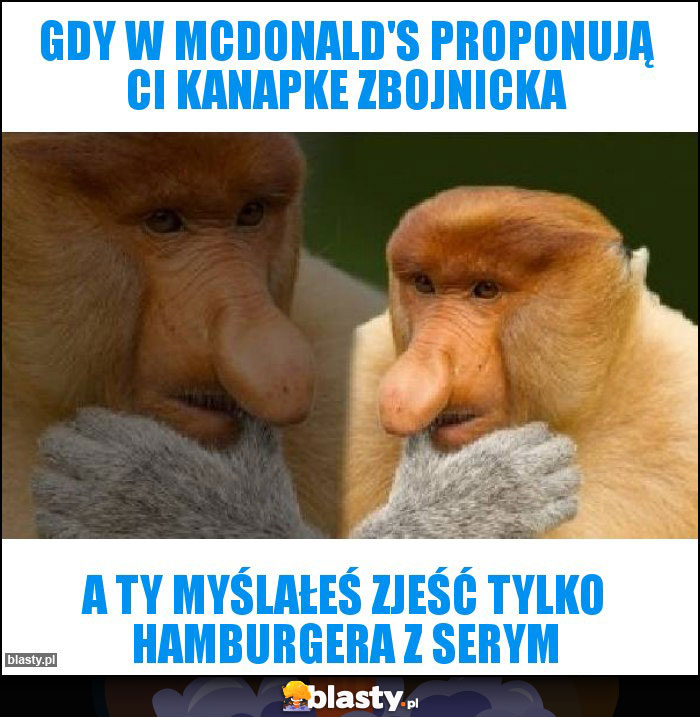 Gdy w McDonald's proponują ci kanapke zbojnicka Gdy w McDonald's proponują ci kanapke zbojnicka