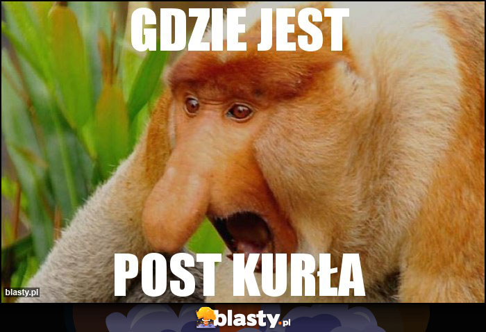 GDZIE JEST GDZIE JEST