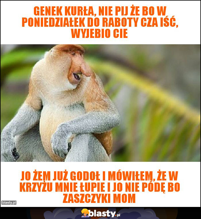 Genek kurła, nie pij że bo w poniedziałek do raboty cza iść, wyjebio cie Genek kurła, nie pij że bo w poniedziałek do raboty cza iść, wyjebio cie
