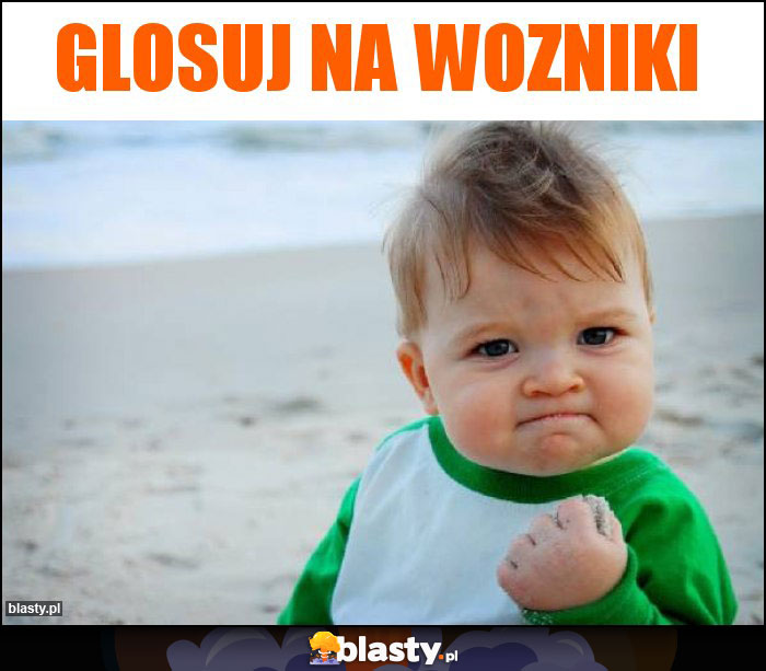 Glosuj na Wozniki Glosuj na Wozniki