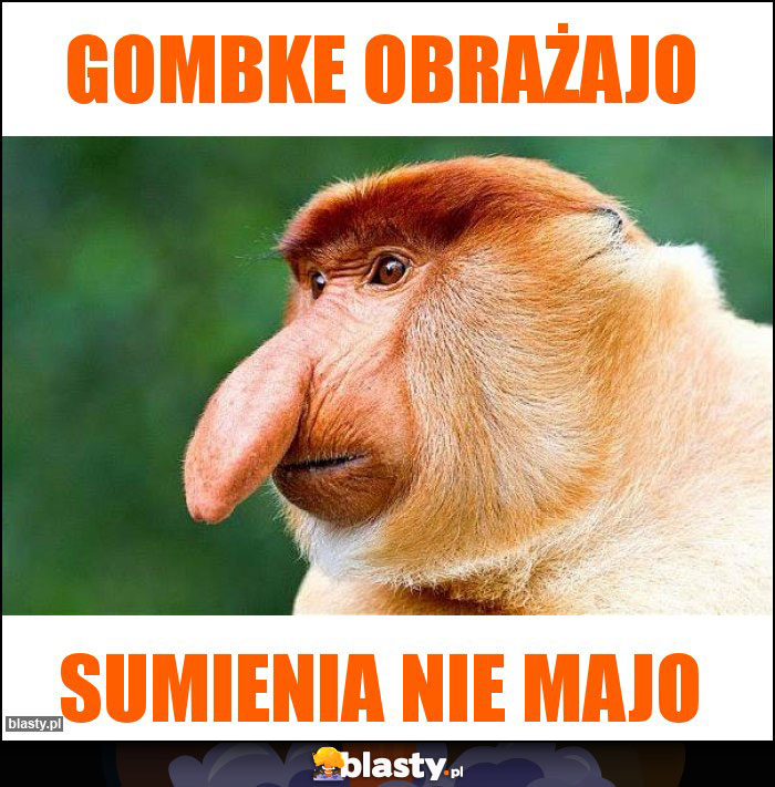 Gombke obrażajo Gombke obrażajo