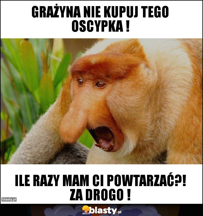 grażyna nie kupuj tego oscypka ! grażyna nie kupuj tego oscypka !