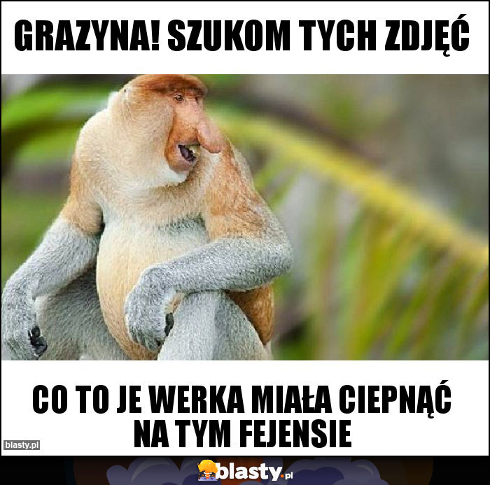 Grazyna! Szukom tych zdjęć Grazyna! Szukom tych zdjęć
