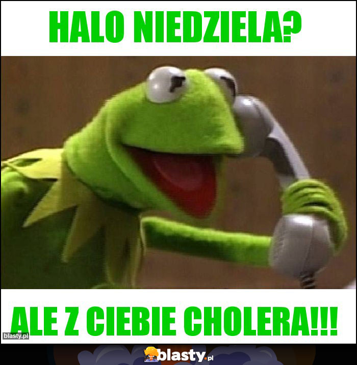 Halo niedziela?