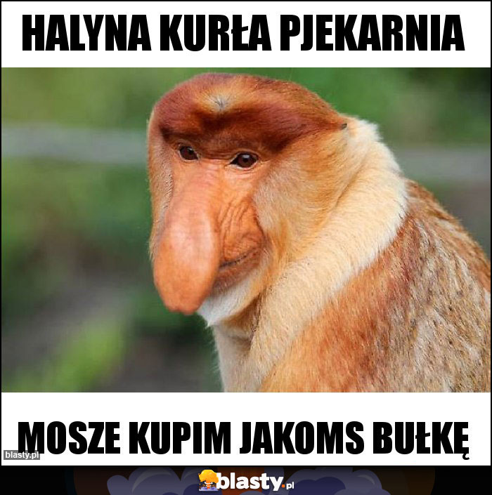 Halyna kurła pjekarnia Halyna kurła pjekarnia