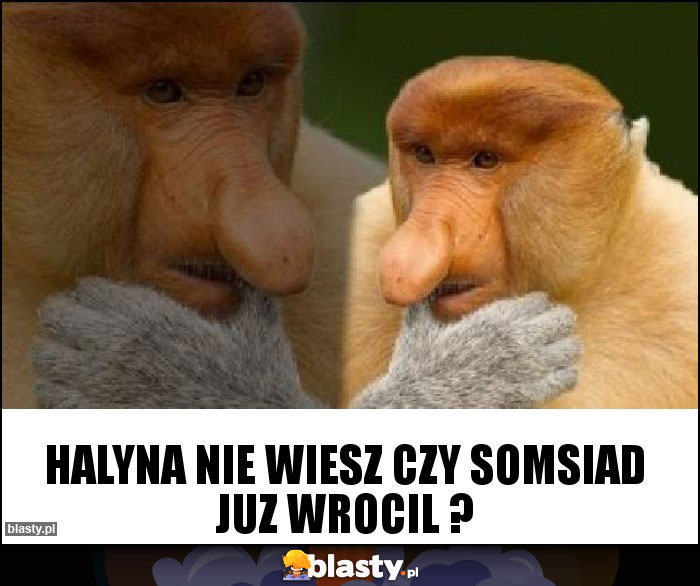 Halyna nie wiesz czy somsiad juz wrocil ? Halyna nie wiesz czy somsiad juz wrocil ?
