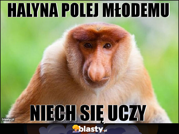 Halyna polej młodemu Halyna polej młodemu