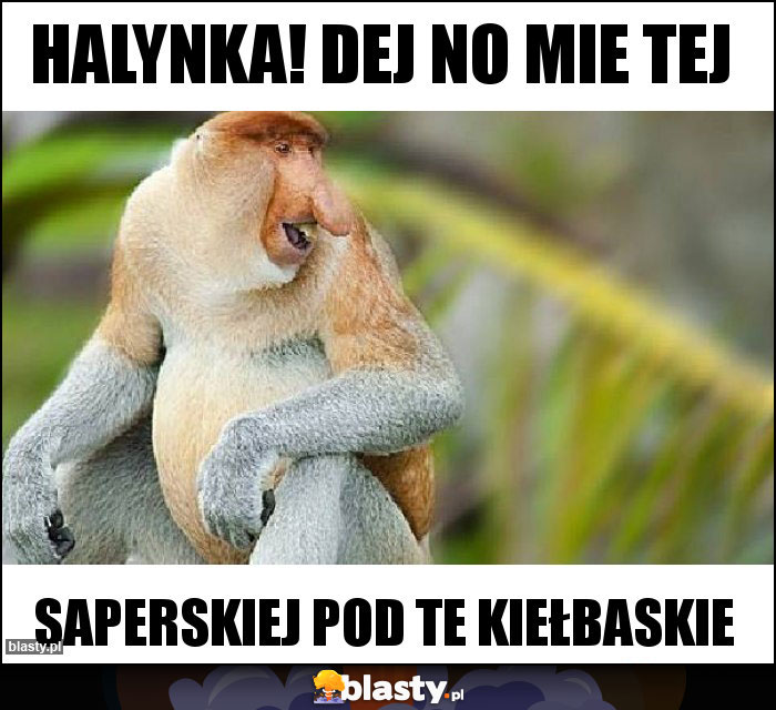 HALYNKA! DEJ NO MIE TEJ HALYNKA! DEJ NO MIE TEJ