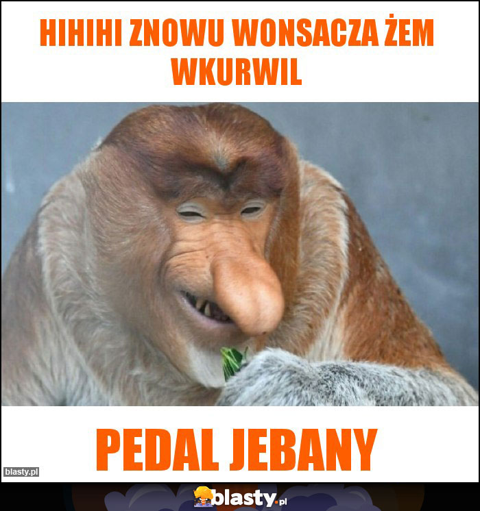 Hihihi znowu wonsacza żem wkurwil Hihihi znowu wonsacza żem wkurwil