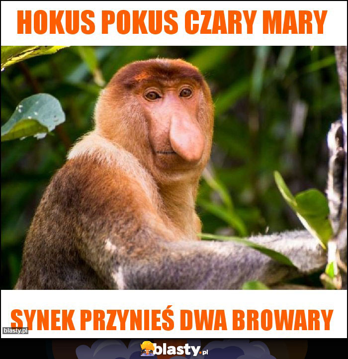 Hokus pokus czary mary
