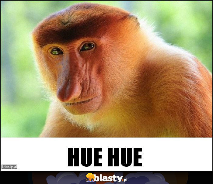 Hue hue