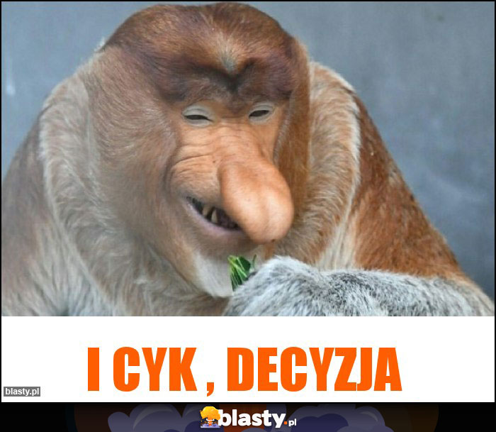I CYK , DECYZJA I CYK , DECYZJA