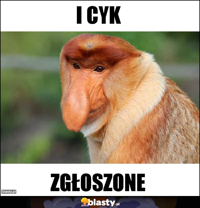 I cyk