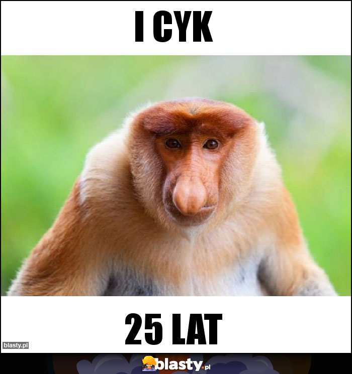 I cyk