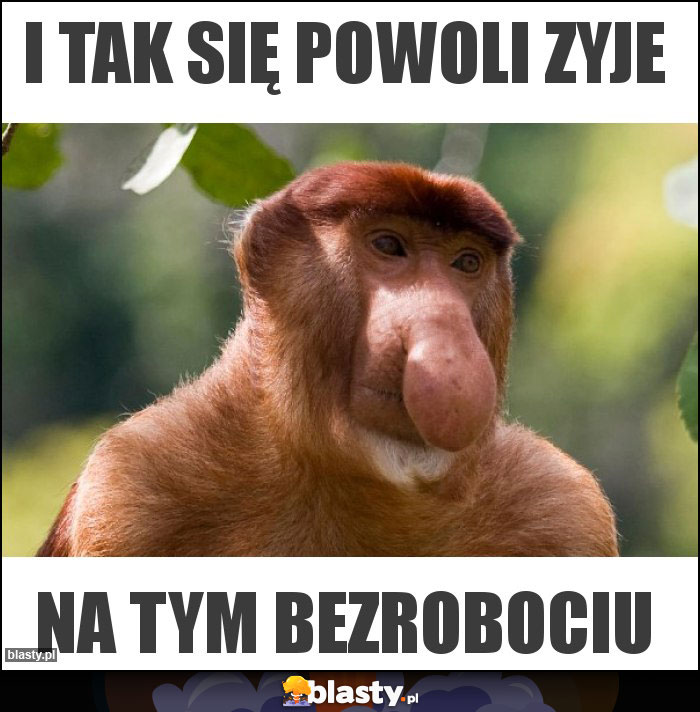 I tak się powoli zyje