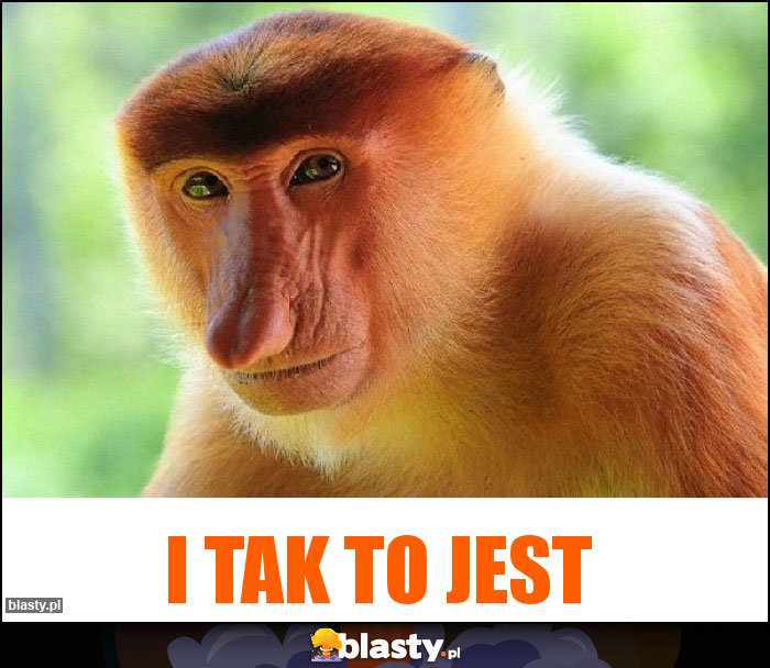 I tak to jest I tak to jest