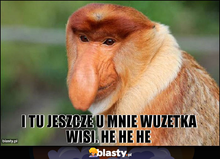 i tu jeszcze u mnie wuzetka wisi. HE HE HE i tu jeszcze u mnie wuzetka wisi. HE HE HE