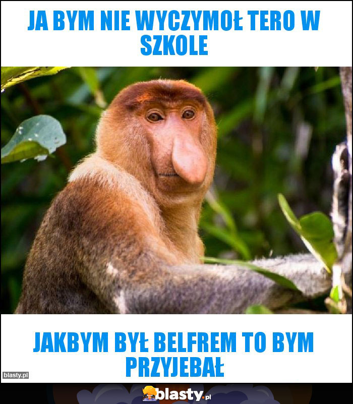 Ja bym nie wyczymoł tero w szkole