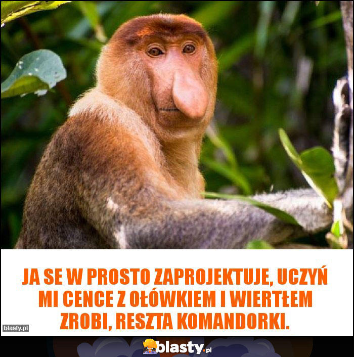 Ja se w prosto zaprojektuje, uczyń mi cence z ołówkiem i wiertłem zrobi, reszta komandorki. Ja se w prosto zaprojektuje, uczyń mi cence z ołówkiem i wiertłem zrobi, reszta komandorki.