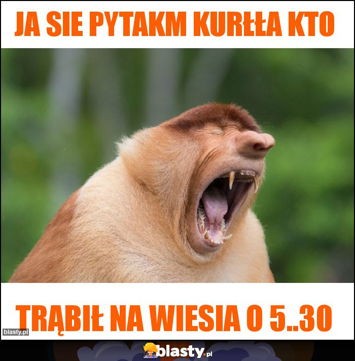 Ja sie pytakm kurłła kto Ja sie pytakm kurłła kto