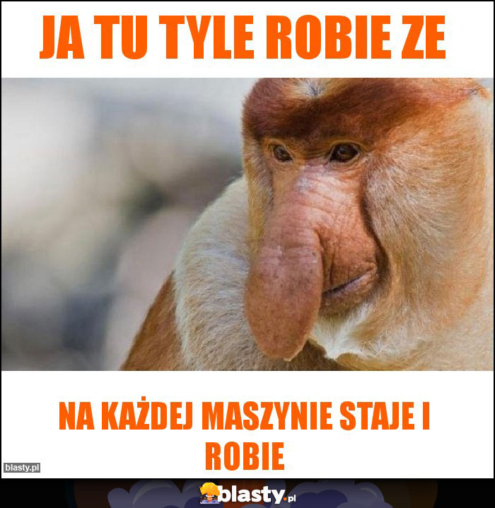 Ja tu tyle robie ze Ja tu tyle robie ze