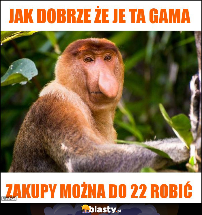 Jak dobrze że je ta gama Jak dobrze że je ta gama