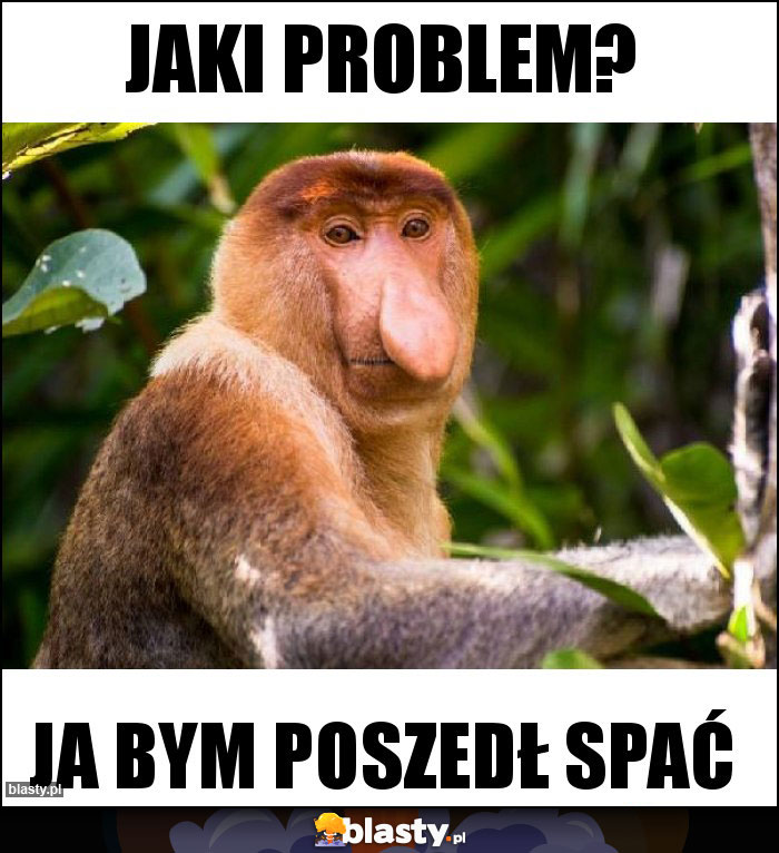 Jaki problem? Jaki problem?