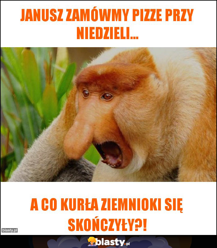 Janusz zamówmy pizze przy niedzieli... Janusz zamówmy pizze przy niedzieli...