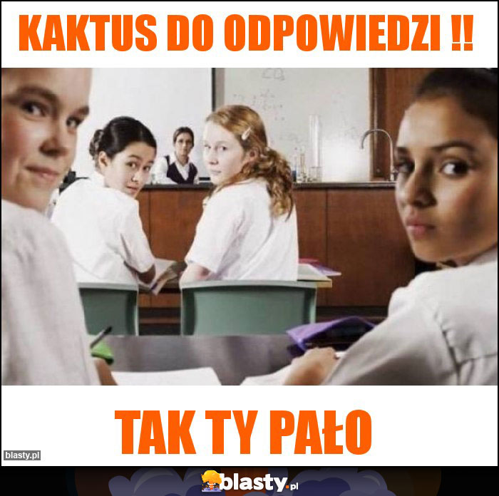 Kaktus do odpowiedzi !! Kaktus do odpowiedzi !!