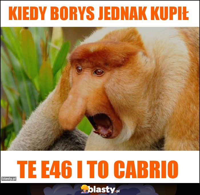 Kiedy Borys jednak kupił Kiedy Borys jednak kupił