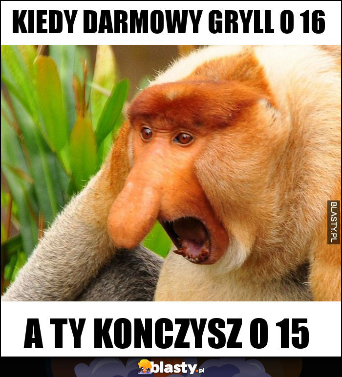 kiedy darmowy gryll o 16 kiedy darmowy gryll o 16