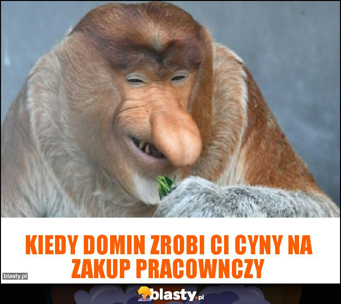 Kiedy Domin zrobi ci cyny na zakup pracownczy Kiedy Domin zrobi ci cyny na zakup pracownczy